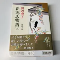 新源氏物語 上
