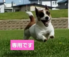 Item thumbnail for item 71f19c80-cdd9-4c12-a618-6f22087aa29d