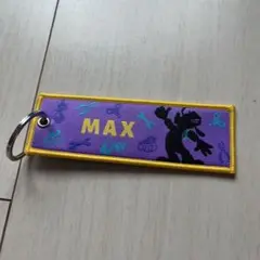 ディズニーシー READY FOR TAKEOFF フライトタグ　マックス