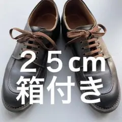 箱付き Red Wing (レッドウィング)スポーツオックスフォード ブラック