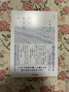 傷を愛せるか　宮地尚子