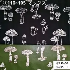 Item thumbnail for item 025e815b-125b-4a1f-a08c-50015a6dc9f0