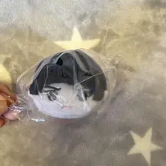 真田弦一郎　もちます