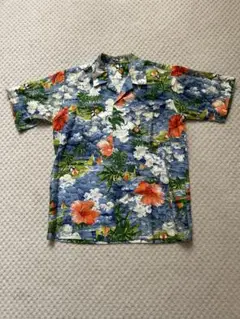 Item thumbnail for item 0fe39860-4edc-4c67-bb2e-3df1fe899311