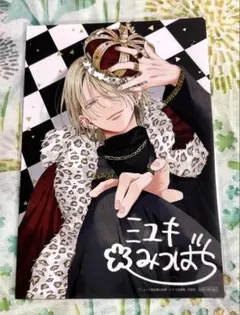 野良猫と狼　6巻　購入特典　イラストカード　アニメイト