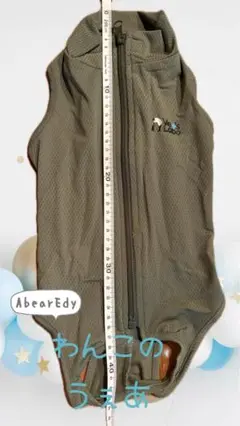 Item thumbnail for item 3f0e9d7c-d637-4ff4-a9d1-271eb1af496b