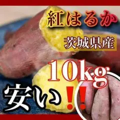 10kg さつまいも 紅はるか 茨城県産 訳あり品 産地直送