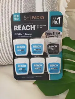 Item thumbnail for item 114eb84e-26cb-4134-a006-457246aae822