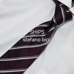 【最終値下げ・美品】SHIPS stefanobigi ネクタイ ワインレッド