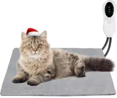 Item thumbnail for item 19c1fcfa-4c7b-4b36-ab5c-395f8032104a