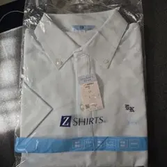 Item thumbnail for item 47704850-f147-4215-b408-ba964f7a956d