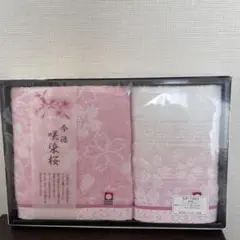 Item thumbnail for item 381b55b2-9ac4-41c6-9fde-8a6596581199