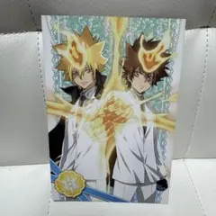家庭教師ヒットマンREBORN！　リボアニ　 ポストカード10年後ツナ　プリーモ