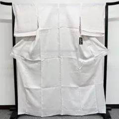 お値下げ不可▼ 完品 夏用 近江ちぢみの単衣の色無地 着物