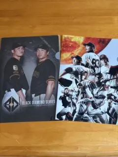 ジャイアンツ クリアファイル 二枚セット