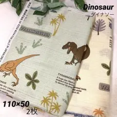 ◇新品◇ダイナソー ティラノザウルス サザンクロス 生地 50㎝×2枚
