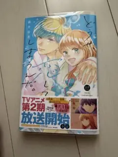 どうせ、恋してしまうんだ。(12)
