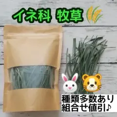 Item thumbnail for item f874496a-b328-4d0e-8f7c-ae721a4fb5bd