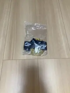 柔術金メダル　フルフォースカップ04