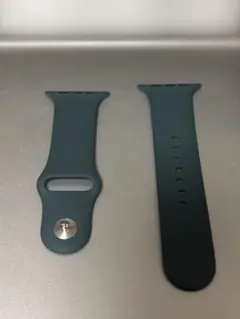 【終売品】Apple Watch 46m S/M mバンド レイクグリーン