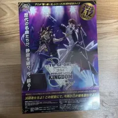 遊戯王 DUELIST LIVE KINGDOM 2025 チラシ