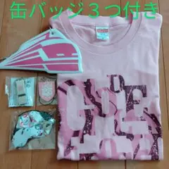 超特急TシャツМサイズピンク8号車　夢8継続特典4点　+缶バッジ3つ
