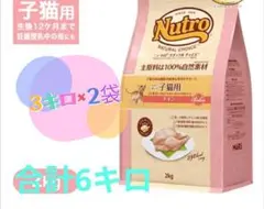 Item thumbnail for item 49f58f11-6572-475d-95b3-77c06ca1e119