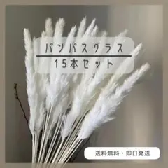 背景布 140cm×200cm　アイボリー　おうちスタジオ　撮影用　誕生日