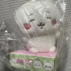 Item thumbnail for item fd62d99f-4e36-4654-b339-8b9888453408