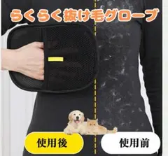 Item thumbnail for item 5dd45c15-1de7-4ca8-a367-2dea2d2a2f36
