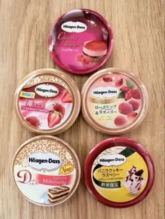 ハーゲンダッツ アイスクリーム 缶バッジ 5個セット