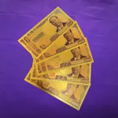 Item thumbnail for item 21499b1d-38af-4b2e-b01a-3434aca22d91