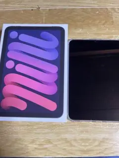 iPad mini (第7世代) A17Pro 256GB