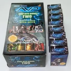 AVP ハイヤトイズ　スカープレデター　ケルティックプレデター　❗️未開封❗️ AVP 1/18 アクションフィギュア バトルダメージ ケルティック