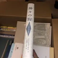 テレンス マッケナ 神々の糧 カバーなし