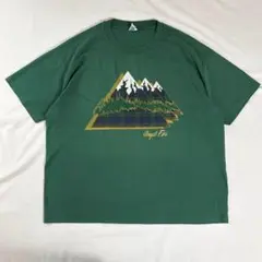 usa製90s ヘインズ半袖Tシャツ チェック柄プリント ブラックウォッチ 緑