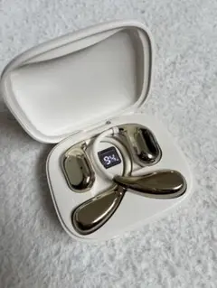 Item thumbnail for item 1179d602-898f-49a4-bb15-8144ac39907e