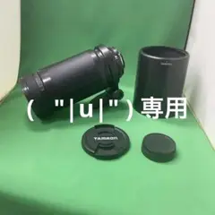 Item thumbnail for item 63e9e82d-14fa-4fb9-9c4d-5e7ce4d75f4b