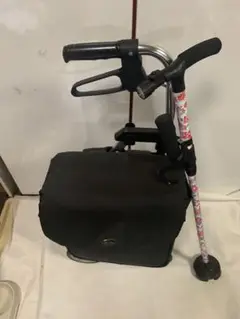 Item thumbnail for item 571fce52-0bc4-4753-934b-f35f9484b78f