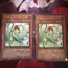 ナチュルローズウィップ2枚