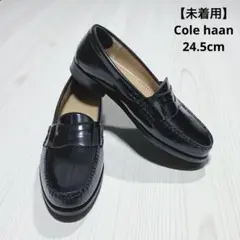 Item thumbnail for item 831d85d5-5f49-4401-9f41-a34a06d8418c