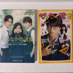 ひるなかの流星 センセイ君主 小説本
