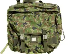 m84186946821_1.jpg?1741341071