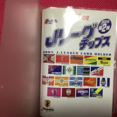jリーグチップス2005カードホルダー　カード大量