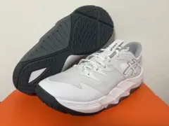 ASICS アンプレアルス　low 2 28cm