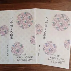 琴　楽譜　ソロで弾く名曲集 2冊セット
