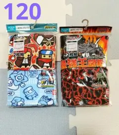 【新品】ダダサバイバー 最強王図鑑☆ ボクサーブリーフ セット １２０