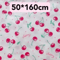 Item thumbnail for item 0d5aa799-479a-4e0b-a480-bf98664726b8