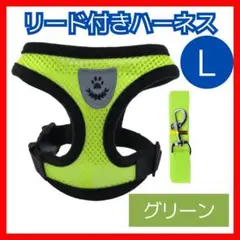 Item thumbnail for item e6af4761-b15b-40ff-b7af-227b63cac613