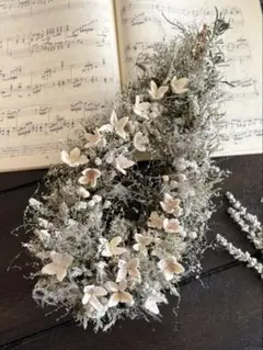 Item thumbnail for item d6723a09-5bfc-4595-a1a7-78142f4daf2a